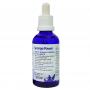 Korallen Zucht Sponge Power 10 ml - Special food for sponges, clams and sea squirts