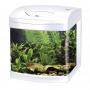 Amtra Xcube LED 26 Litres White Color