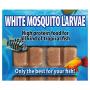 Ruto White Mosquito Chironomus Bianco Congelato - Blister Singolo da 100gr