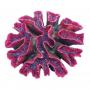 AQL Decorazione Corallo in Resina Modello Euphyllia Purple Large cm24x22x8h