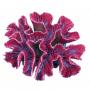 AQL Decorazione Corallo in Resina Modello Euphyllia Purple Medium cm20x16x8h
