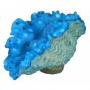 AQL Decorazione Corallo in Resina Modello Tridacna Small cm9x5x5,5h