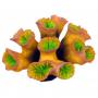 AQL Decorazione Corallo in Resina Modello Euphyllia Yellow Large cm13x10x7h