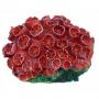 AQL Decorazione Corallo in Resina Modello Tubastrea Red Small cm8x6x4h