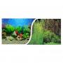 AquariumLine Wallpaper double outdoor opportunities - 100 x 30H - cm