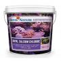 Royal Nature Calcium Chloride 1 kg - integratore di calcio in polvere per acquari marini