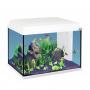 Aquatlantis Start 55 color white - 55 liters aquarium 55x30x34.8cm complete with internal filter, filter materials, heater and PL lighting