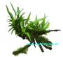 Wood Anubias + Microsorium + Moss Size Large - Article To Be Sold Only In Italy