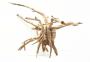 Decorline Spider Wood misure cm17x21x10 Foto Reale cod.SP04