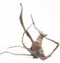 Decorline Spider Wood misure cm33x30x10 Foto Reale cod.SP19