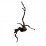 Decorline Spider Wood misura cm40x20x30 Foto Reale cod.SP24