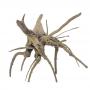 Decorline Spider Wood misura cm7x14x7 Foto Reale cod.SP25