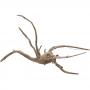 Decorline Spider Wood cm24x12x9 Real Photo cod.SP38
