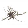 Decorline Spider Wood misure cm24x15x20 Foto Reale cod.SP44