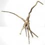 Decorline Spider Wood misure cm17x15x9 Foto Reale cod.SP50