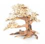DecorLine Slim Bonsai Wood misura Small cm23x17x10h