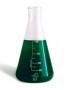 Bea Green Pro 1000ml - miscela di ceppi di fitoplancton utili come alimento e per l'abbatimento dei nutrienti