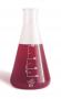 Bea Red Pro 1000ml - ceppi di fitoplancton per potenziare l'alimentazione