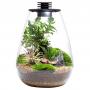 Bioloark Bio Bottle SD175 cm17,5x23h - terrario a goccia in vetro con sistema di aerazione e illuminazione LED