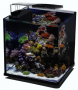 Blu Bios Nanux 18L Black - aquarium 25x25x27h
