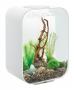 Oase BiOrb Life 15 LED Bianco - mini acquario in acrilico accessoriato cm29x19,3x40,7h
