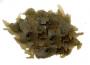 Economy Dispenser Spirulina Flakes - Mangime in Fiocchi a base vegetale con Artemia e il 10% di alga Spirulina
