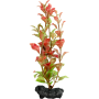 Tetra Plantastics Red Ludwigia (Ludwigia Repens) Decorative Plants Plastic