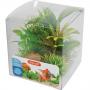 Zolux Decor Plant Box 6pz kit 2 - mix di 6 piante artificiali