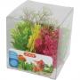 Zolux Decor Plant Box 6pz kit 4 - mix di 6 piante artificiali