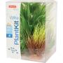 Zolux Decor PlantKit Wiha mod.2 - set di piante decorative artificiali