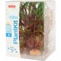 Zolux Decor PlantKit Wiha mod.3 - set di piante decorative artificiali