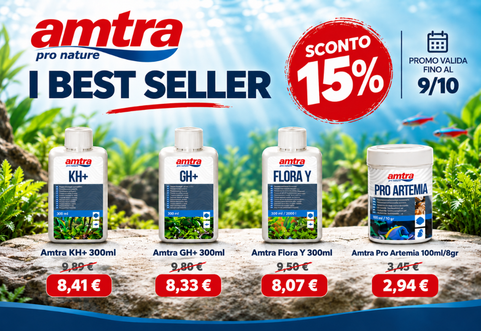 AMTRA