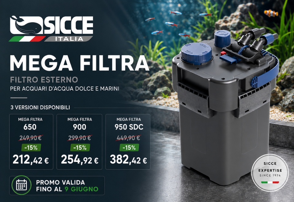 SICCE