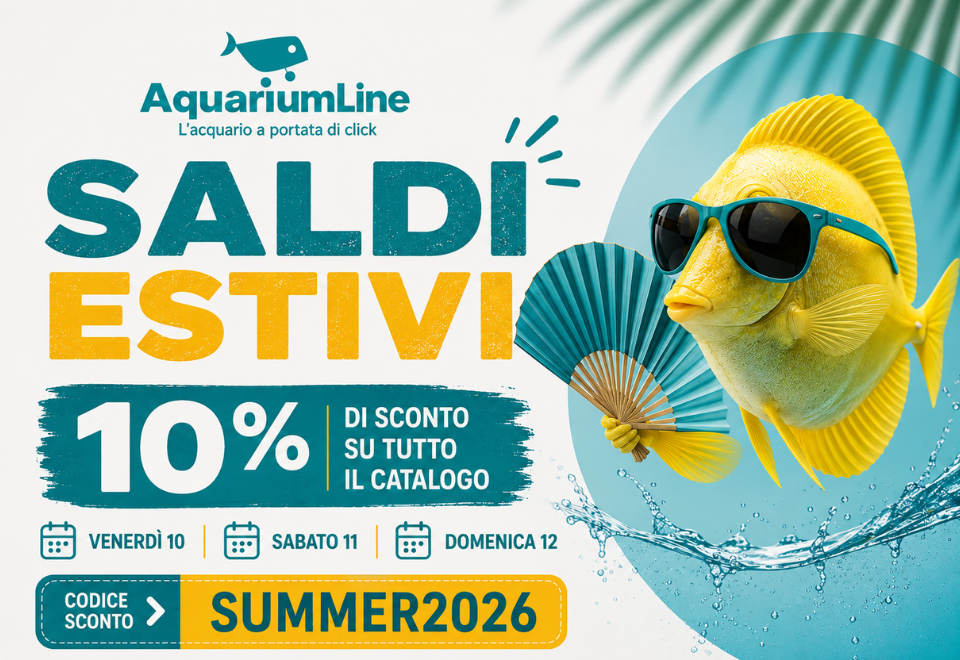 SALDI ESTIVI