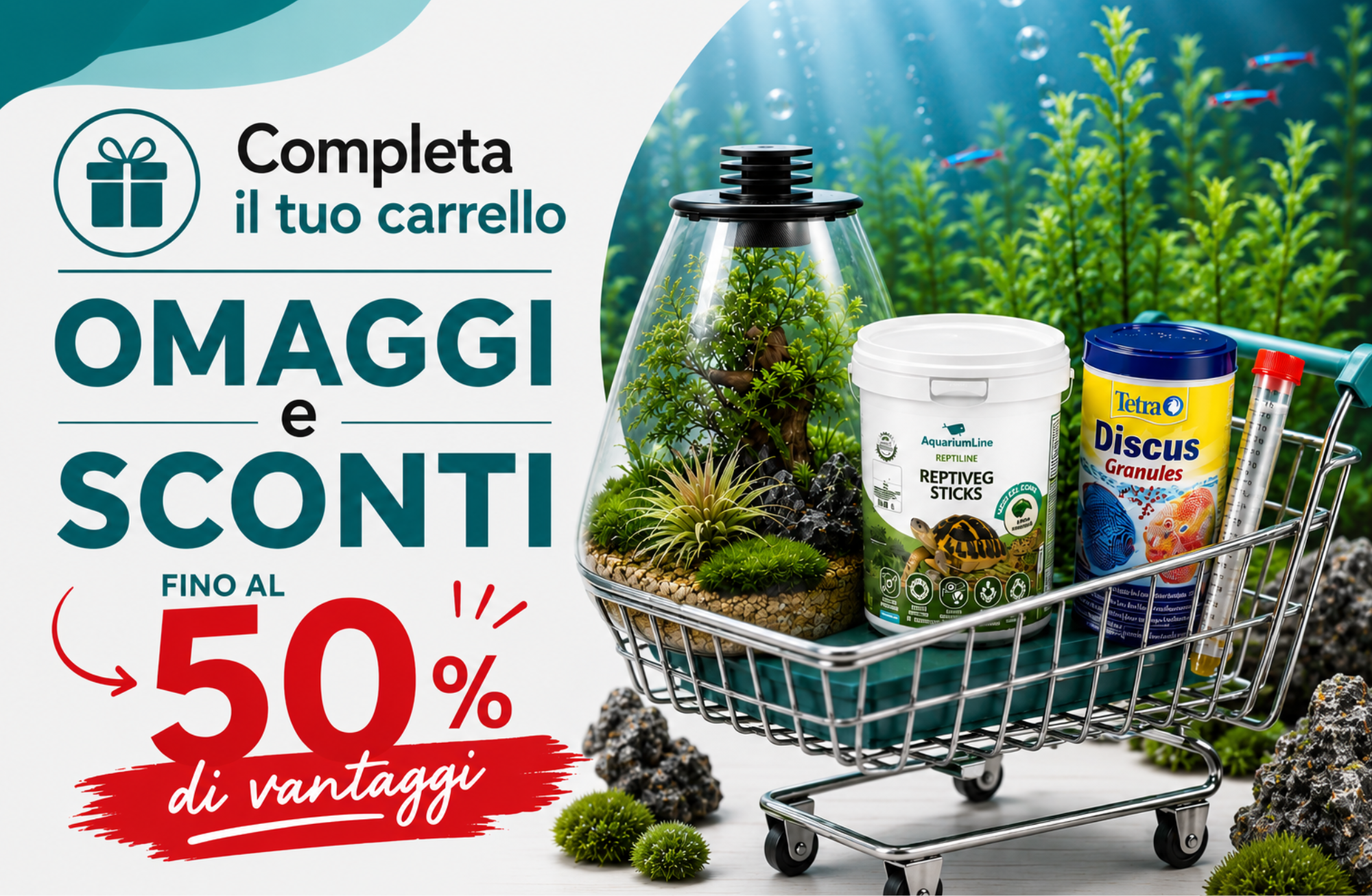 Piante Acquatiche per il Tuo Acquario di Acqua Dolce