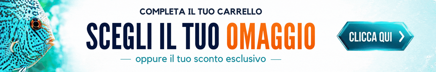 Banner Sconti e Offerte