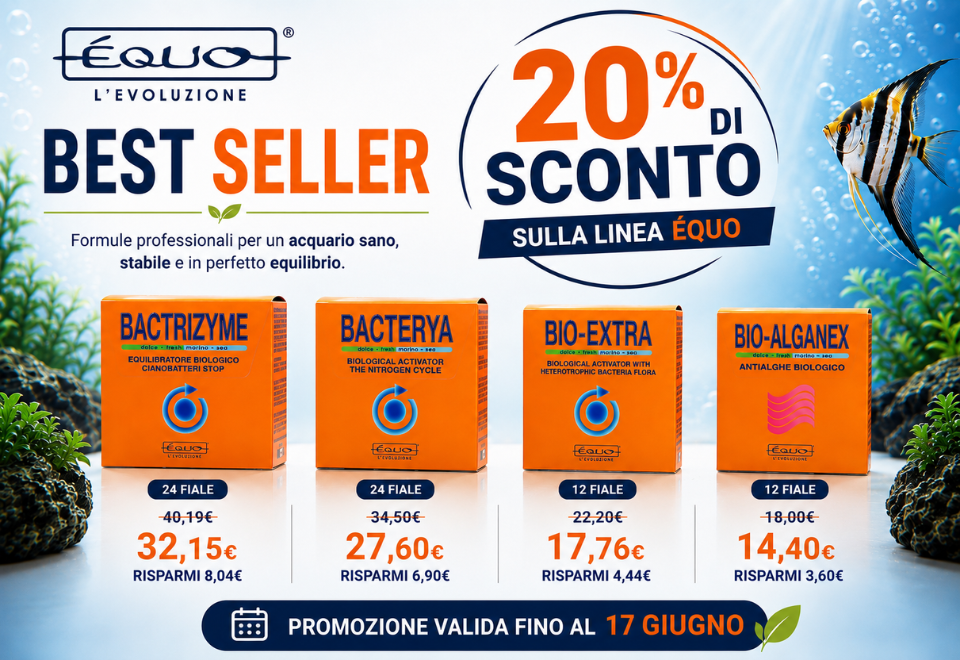 EQUO BEST SELLER