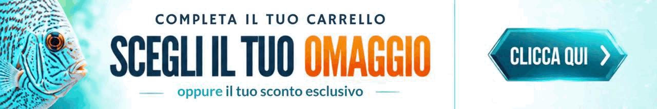 Banner Sconti e Offerte