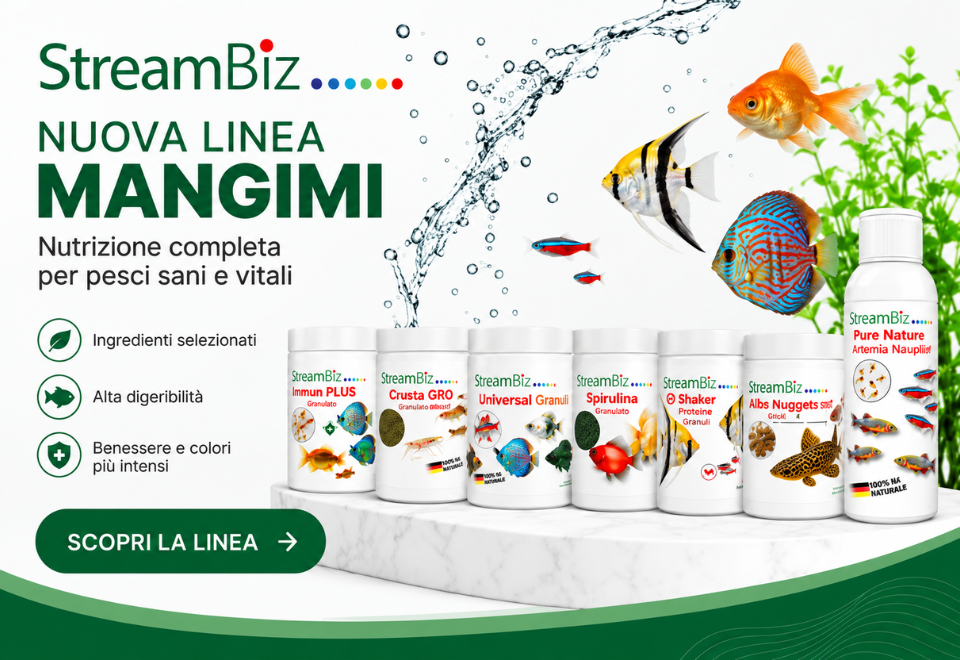 STREAMBIZ