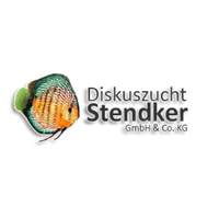 Stendker