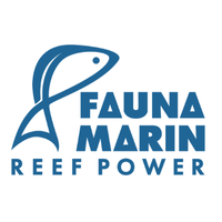 Fauna Marin