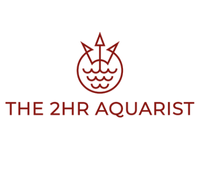 2Hr Aquarist