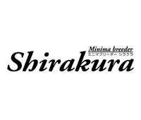 Shirakura